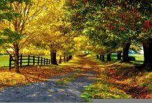 一技之长典故,一技之长故事,一技之长是什么意思-我的生活随笔