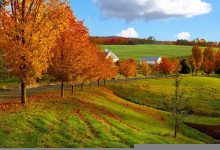 欲水横流典故,欲水横流故事,欲水横流是什么意思-我的生活随笔