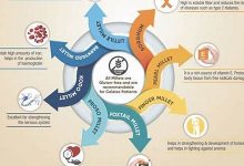 millet什么意思,millet中文翻译,millet用法及例句,millet怎么读-我的生活随笔