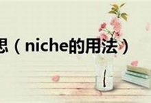 niche什么意思,niche中文翻译,niche用法及例句,niche怎么读-我的生活随笔