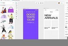 lunacy什么意思,lunacy中文翻译,lunacy用法及例句,lunacy怎么读-我的生活随笔