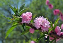 神完气足典故,神完气足故事,神完气足是什么意思-我的生活随笔