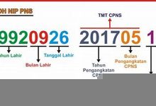 nip什么意思,nip中文翻译,nip用法及例句,nip怎么读-我的生活随笔