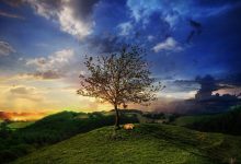 矩阵英语典故,矩阵英语故事,矩阵英语是什么意思-我的生活随笔