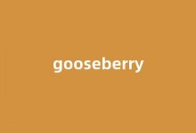 Gooseberry中文翻译,Gooseberry是什么意思,Gooseberry发音、用法及例句(gooseberry怎么读)-我的生活随笔