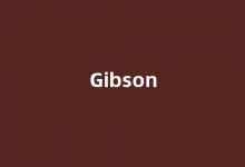 Gibson中文翻译,Gibson是什么意思,Gibson发音、用法及例句(gibson英语)-我的生活随笔