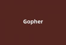 Gopher中文翻译,Gopher是什么意思,Gopher发音、用法及例句(gopher的意思)-我的生活随笔