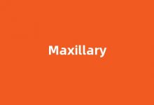 Maxillary中文翻译,Maxillary是什么意思,Maxillary发音、用法及例句-我的生活随笔