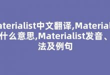 Materialist中文翻译,Materialist是什么意思,Materialist发音、用法及例句-我的生活随笔