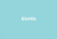 Glottis中文翻译,Glottis是什么意思,Glottis发音、用法及例句(glottal怎么读)-我的生活随笔