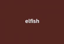 elfish中文翻译,elfish是什么意思,elfish发音、用法及例句-我的生活随笔