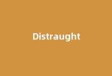 Distraught中文翻译,啥意思，Distraught用法及例句-我的生活随笔