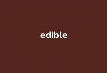 edible中文翻译,edible是什么意思,edible发音、用法及例句-我的生活随笔