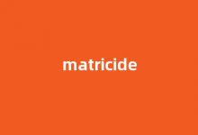 Matricide中文翻译,Matricide是什么意思,Matricide发音、用法及例句-我的生活随笔