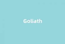 Goliath中文翻译,Goliath是什么意思,Goliath发音、用法及例句(goliath怎么读)-我的生活随笔