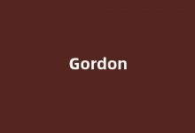 Gordon中文翻译,Gordon是什么意思,Gordon发音、用法及例句(gordon的中文意思)-我的生活随笔