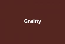 Grainy中文翻译,Grainy是什么意思,Grainy发音、用法及例句(grain翻译成中文是什么意思)-我的生活随笔