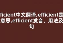 efficient中文翻译,efficient是什么意思,efficient发音、用法及例句-我的生活随笔