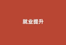 民办高校就业率提升案例：新加坡国立大学联合培养项目-榜智库