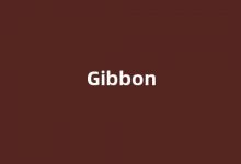 Gibbon中文翻译,Gibbon是什么意思,Gibbon发音、用法及例句(gibbons是什么意思中文)-我的生活随笔