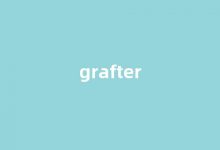 Grafter中文翻译,Grafter是什么意思,Grafter发音、用法及例句(grief的中文意思)-榜智库